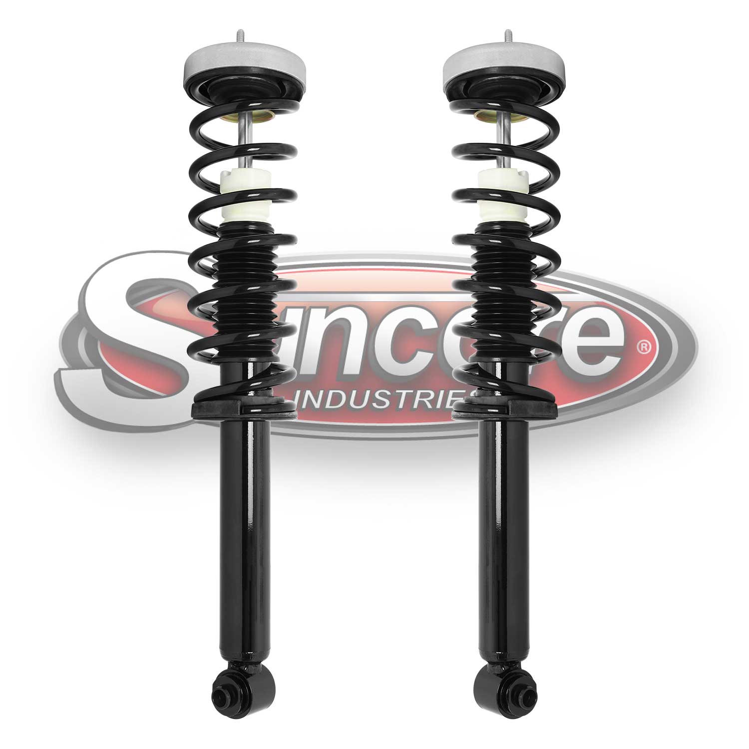 2001-2003 BMW 530i E39 Rear Quick Complete Strut & Coil Spring Assembly Pair